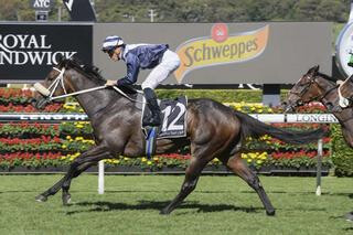 Kinane (NZ) claims the Group Three Cactus Imaging Frank Packer Plate (2000m).